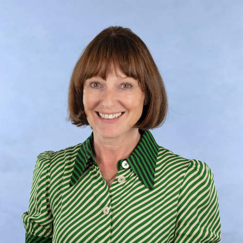 LOUISA COLLINS,  Sales Director